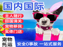 布拉克航空托运国际宠物托运 【国